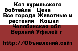 Кот курильского бобтейла › Цена ­ 5 000 - Все города Животные и растения » Кошки   . Челябинская обл.,Верхний Уфалей г.